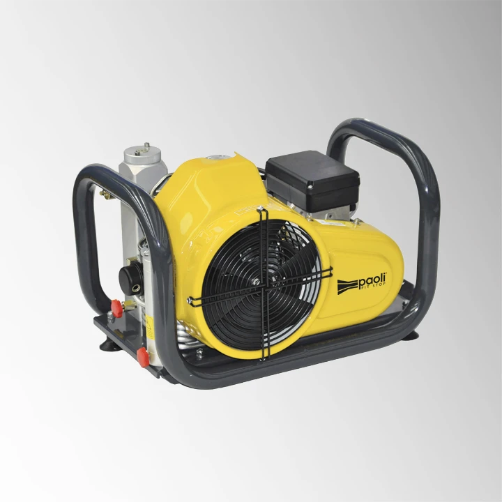 COMPRESOR COMPACTO DE ALTA PRESIÓN ESPECIAL SAT /TALLERES DPH220
